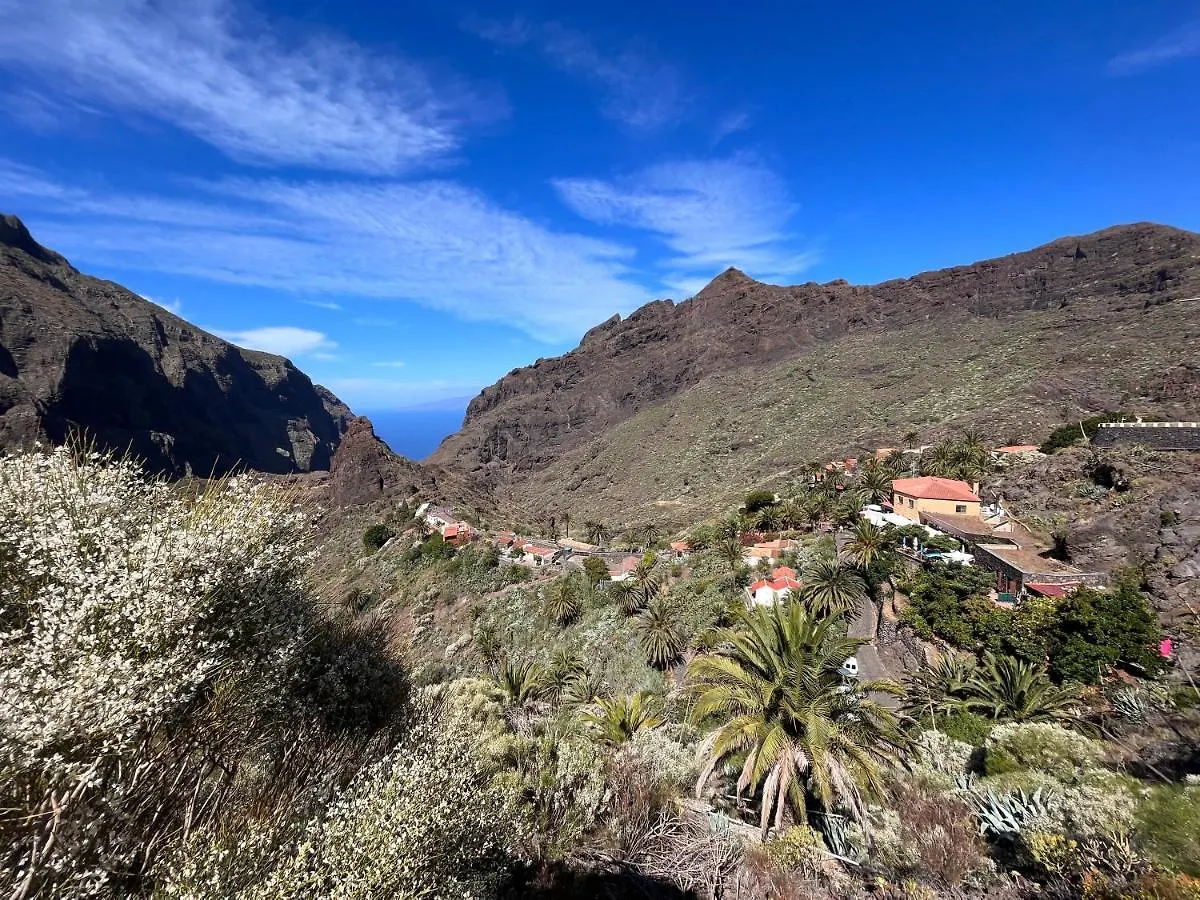 Apartamento Los Picachos, Poris De Abona Santa-Cruz de Ténérife 0*,  Espagne