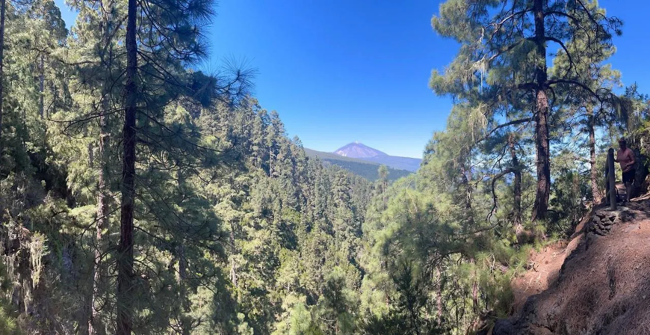 Appartement Apartamento Los Picachos, Poris De Abona Santa-Cruz de Ténérife Espagne