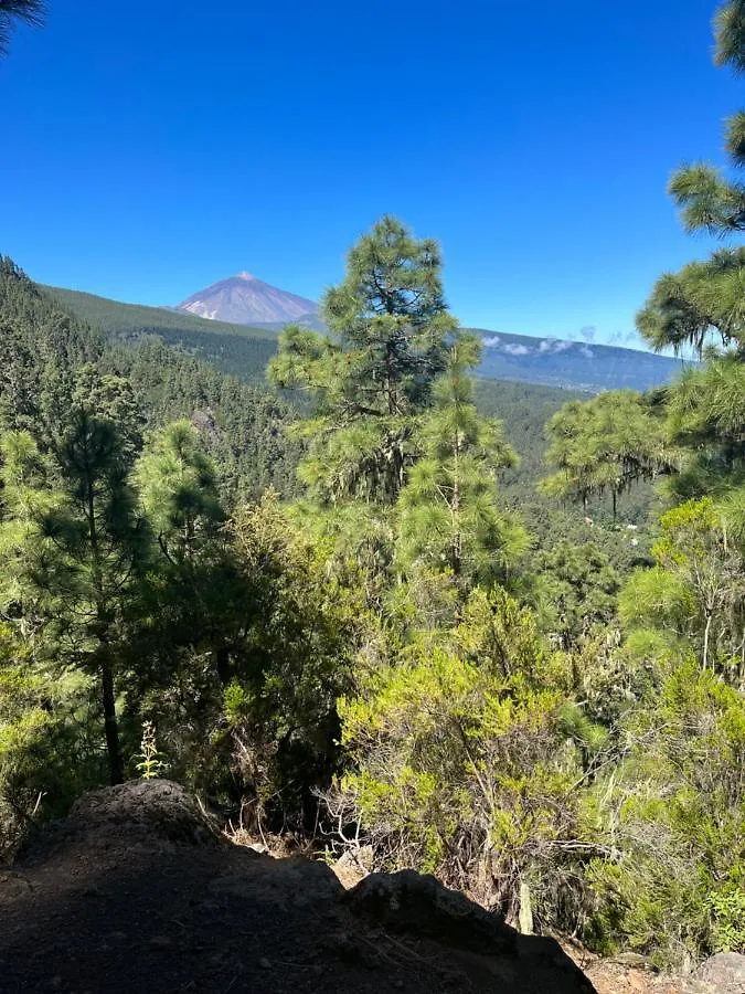 Apartamento Los Picachos, Poris De Abona Santa-Cruz de Ténérife